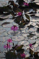 Similar image 13072488