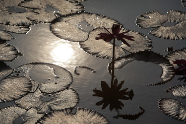 Similar image 13072700