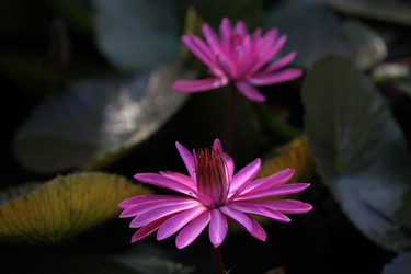 Similar image 13072721