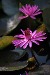 Similar image 13072722