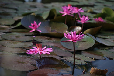 Similar image 13072743