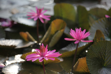 Similar image 13072782