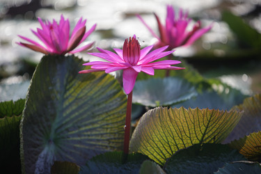 Similar image 13072878