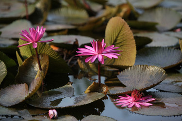 Similar image 13072937