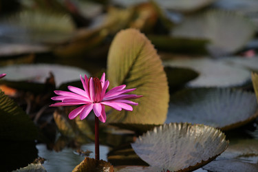 Similar image 13072980