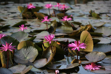 Similar image 13083257