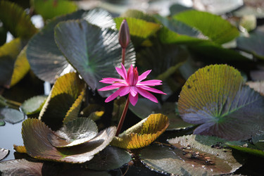 Similar image 13083411