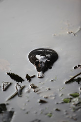 Similar image 13083510