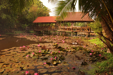 Similar image 13083511