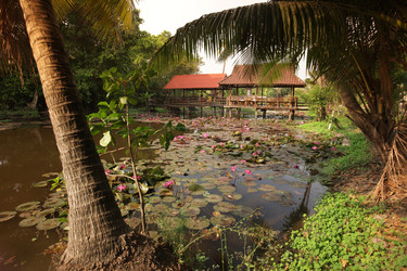 Similar image 13083532