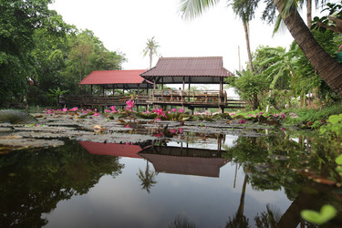 Similar image 13083533