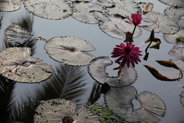 Similar image 13083608