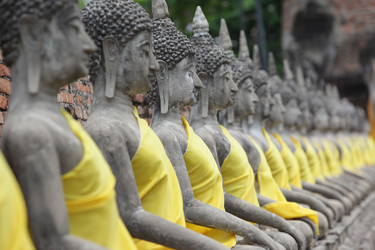 Similar image 13083668