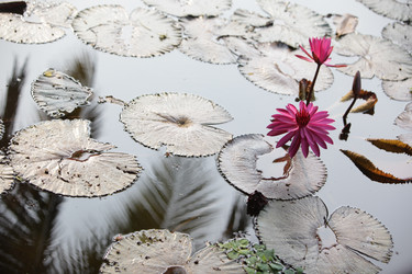 Similar image 13083669