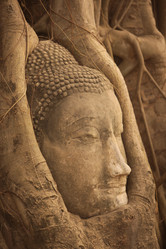 Similar image 13067932