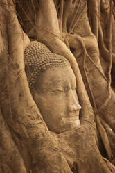 Similar image 13067933