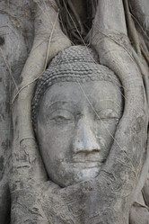 Similar image 13067969