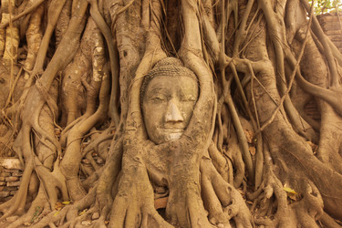 Similar image 13072060