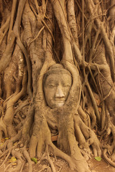 Similar image 13072101