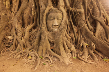 Similar image 13072142