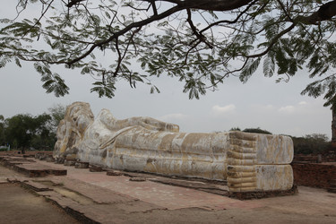 Similar image 13083260