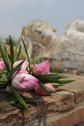 Similar image 13083355