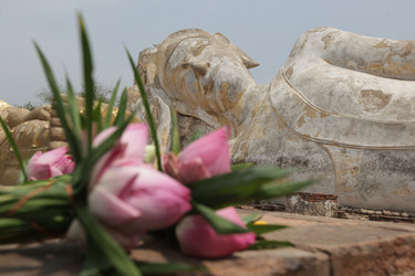 Similar image 13083365