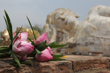 Similar image 13083333