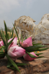 Similar image 13083334