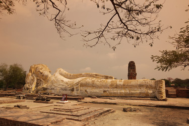 Similar image 13083453