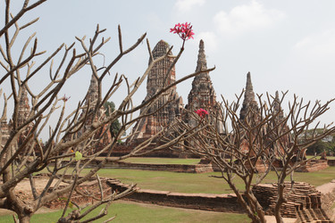 Similar image 13083610