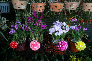 Similar image 13072043