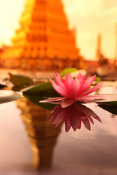 Similar image 13072273