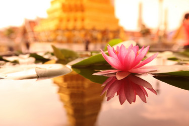 Similar image 13072311