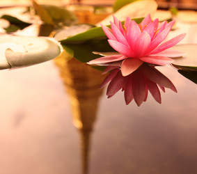 Similar image 13072409