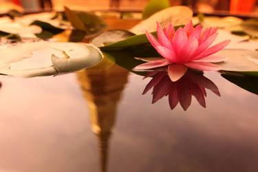 Similar image 13072410