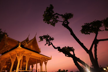 Similar image 13072388