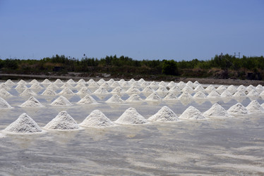 Similar image 13072701