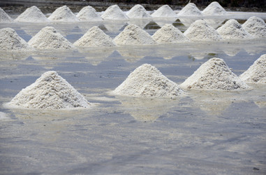 Similar image 13072880