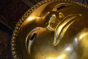 Similar image 13083357