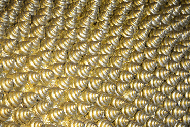 Similar image 13083431