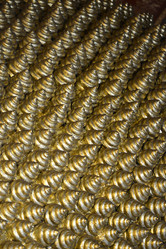 Similar image 13083535