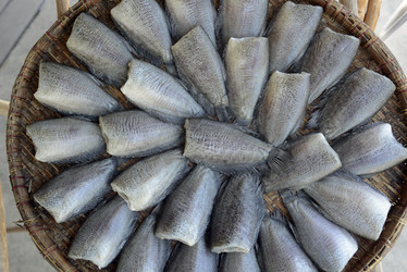 Similar image 13067914