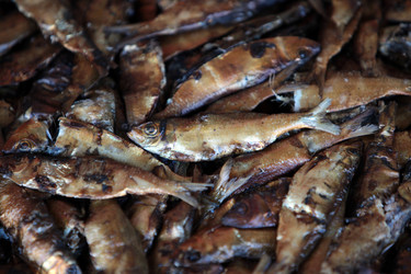 Similar image 13072045