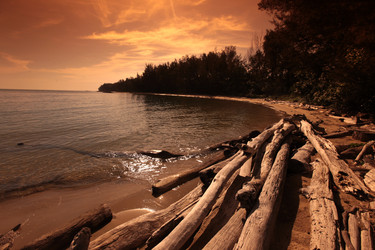 Similar image 13072166