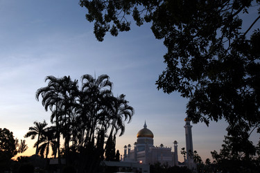 Similar image 13072218