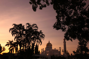 Similar image 13072569