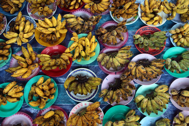 Similar image 13072547