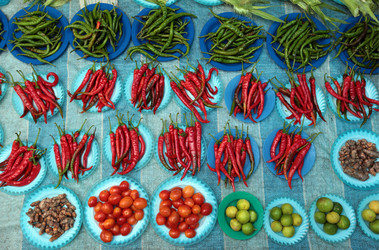 Similar image 13072588