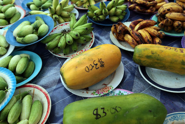 Similar image 13072823